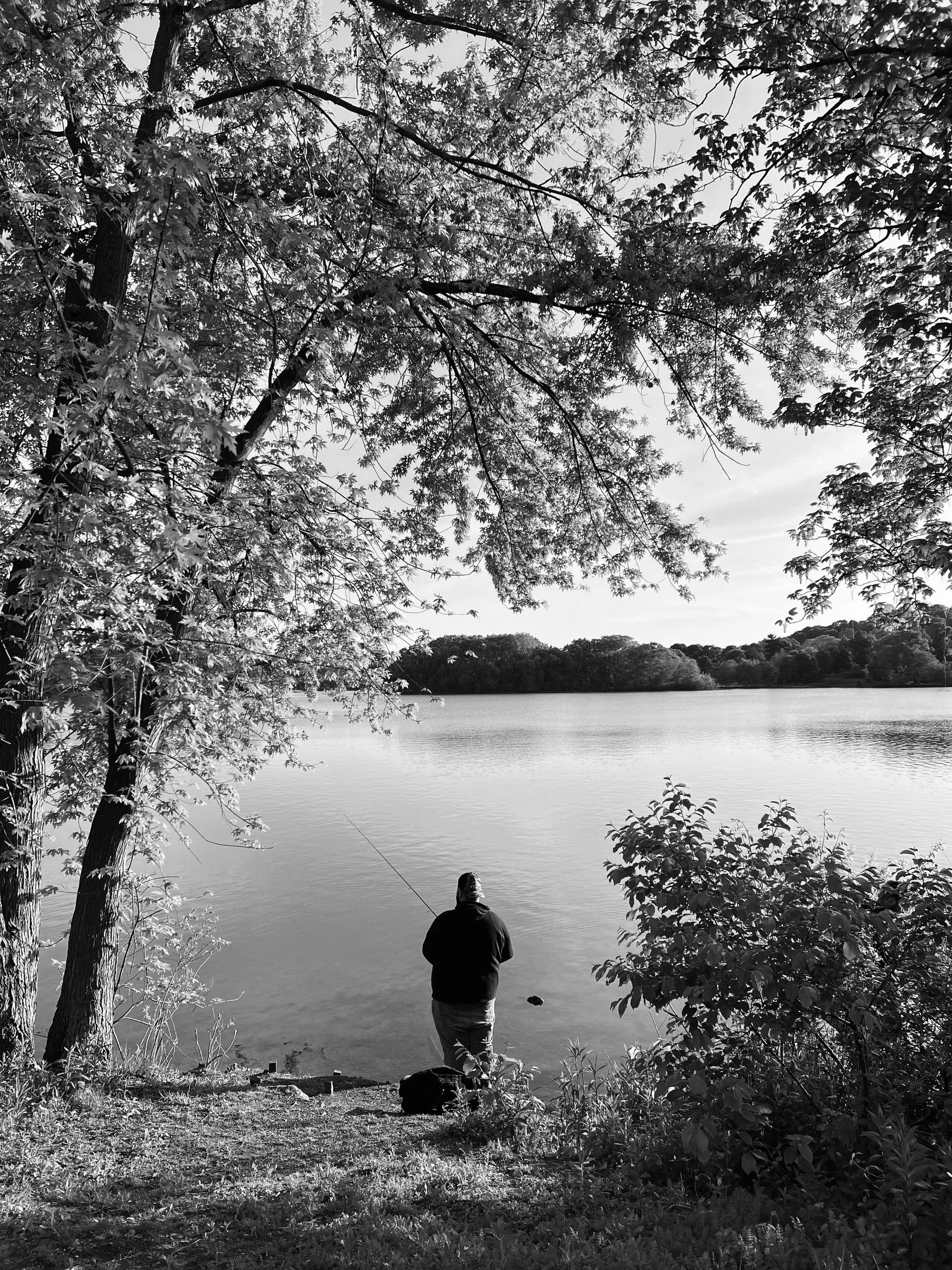 Angler beside a wooded lake